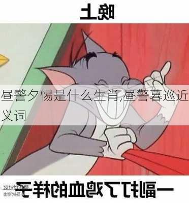 昼警夕惕是什么生肖,昼警暮巡近义词