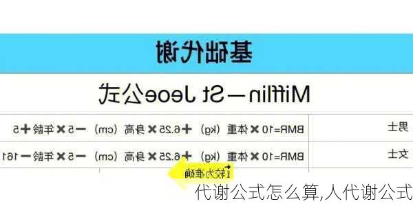 代谢公式怎么算,人代谢公式