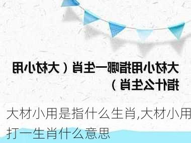 大材小用是指什么生肖,大材小用打一生肖什么意思