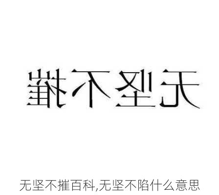 无坚不摧百科,无坚不陷什么意思