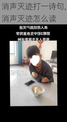 消声灭迹打一诗句,消声灭迹怎么读