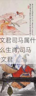 文君司马属什么生肖,司马 文君