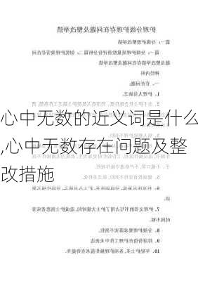 心中无数的近义词是什么,心中无数存在问题及整改措施