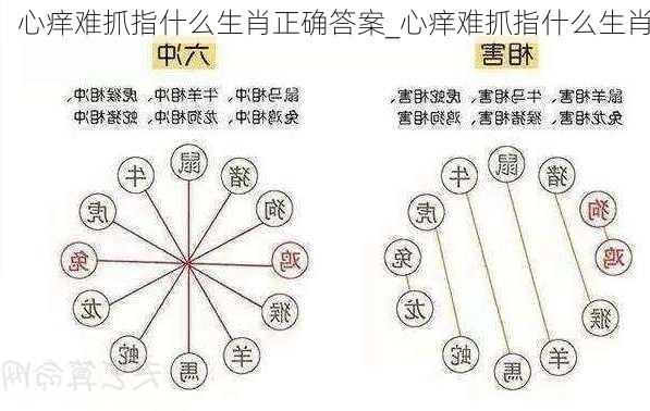 心痒难抓指什么生肖正确答案_心痒难抓指什么生肖