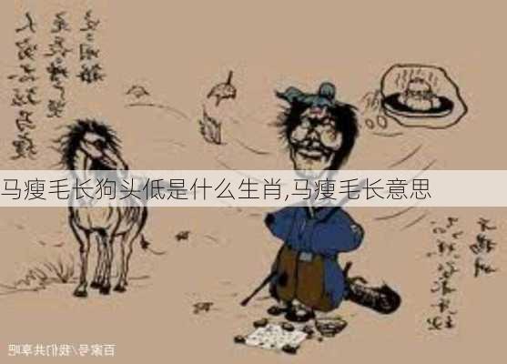 马瘦毛长狗头低是什么生肖,马瘦毛长意思