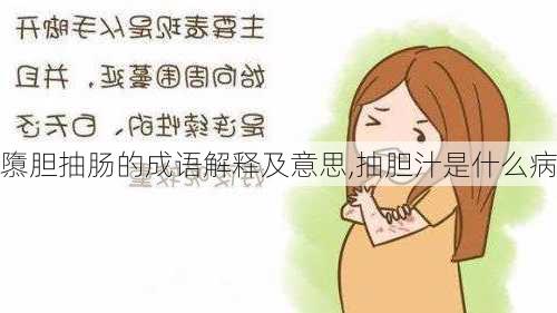 隳胆抽肠的成语解释及意思,抽胆汁是什么病