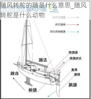 随风转舵的随是什么意思_随风转舵是什么动物