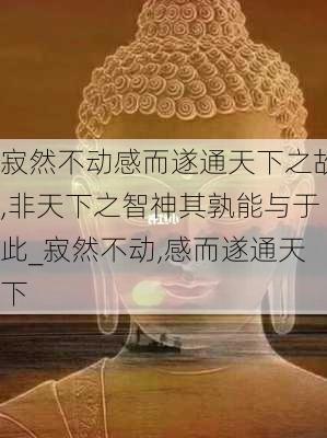 寂然不动感而遂通天下之故,非天下之智神其孰能与于此_寂然不动,感而遂通天下