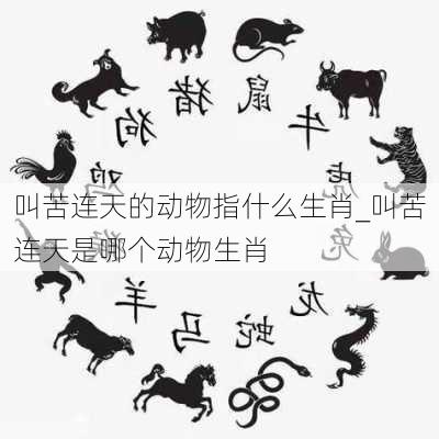 叫苦连天的动物指什么生肖_叫苦连天是哪个动物生肖