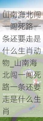 山南海北闯一闯死路一条还要走是什么生肖动物_山南海北闯一闯死路一条还要走是什么生肖