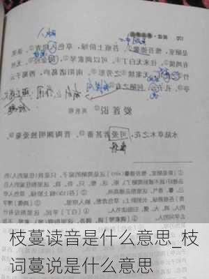 枝蔓读音是什么意思_枝词蔓说是什么意思