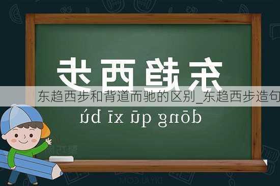 东趋西步和背道而驰的区别_东趋西步造句