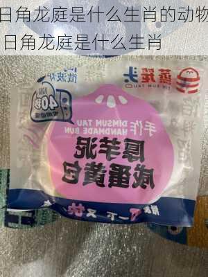 日角龙庭是什么生肖的动物,日角龙庭是什么生肖