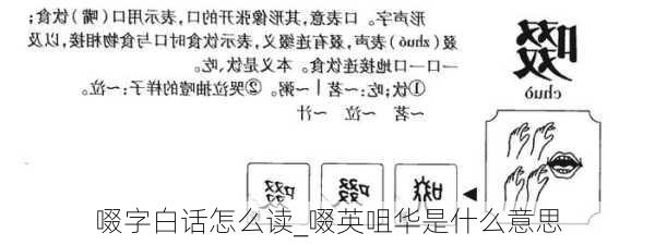 啜字白话怎么读_啜英咀华是什么意思