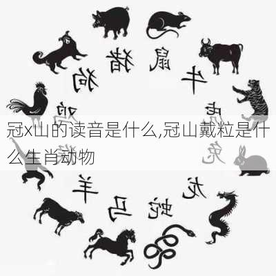 冠x山的读音是什么,冠山戴粒是什么生肖动物