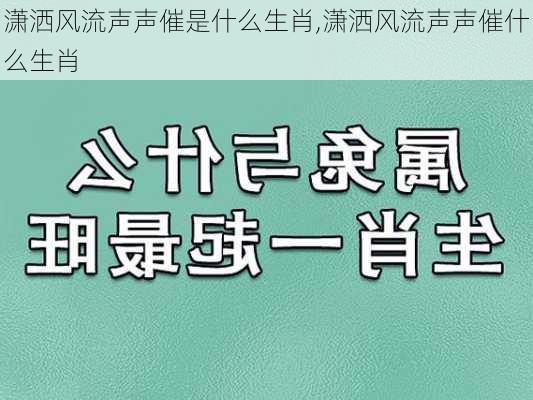 潇洒风流声声催是什么生肖,潇洒风流声声催什么生肖