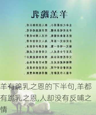 羊有跪乳之恩的下半句,羊都有跪乳之恩,人却没有反哺之情