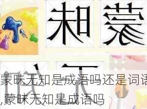 蒙昧无知是成语吗还是词语,蒙昧无知是成语吗