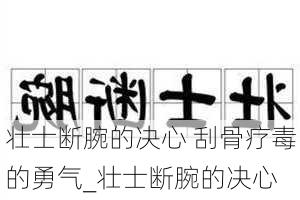 壮士断腕的决心 刮骨疗毒的勇气_壮士断腕的决心