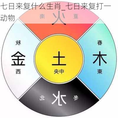 七日来复什么生肖_七日来复打一动物