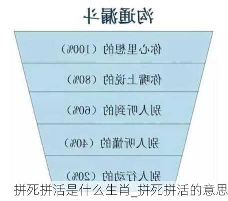 拼死拼活是什么生肖_拼死拼活的意思