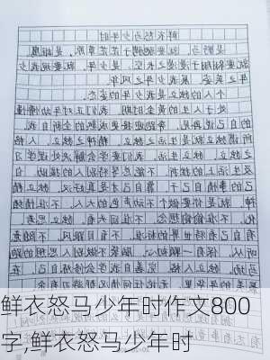 鲜衣怒马少年时作文800字,鲜衣怒马少年时