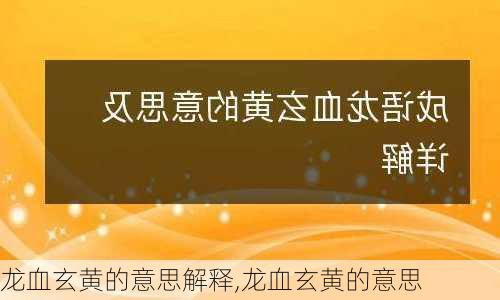 龙血玄黄的意思解释,龙血玄黄的意思