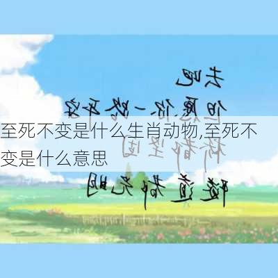 至死不变是什么生肖动物,至死不变是什么意思