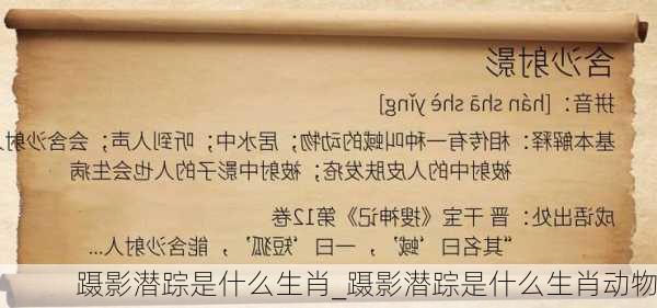 蹑影潜踪是什么生肖_蹑影潜踪是什么生肖动物