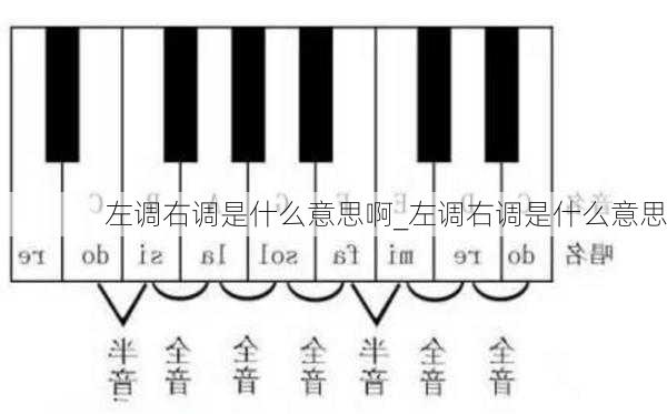 左调右调是什么意思啊_左调右调是什么意思