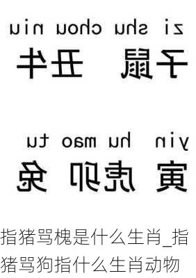 指猪骂槐是什么生肖_指猪骂狗指什么生肖动物