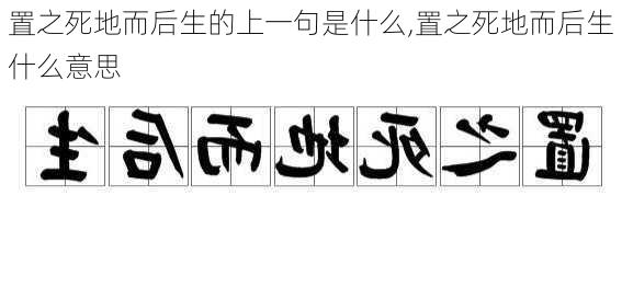 置之死地而后生的上一句是什么,置之死地而后生什么意思