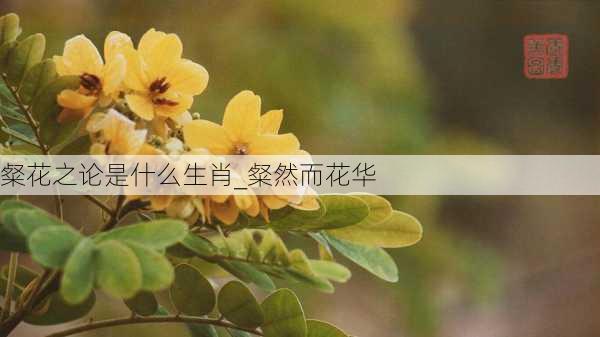 粲花之论是什么生肖_粲然而花华