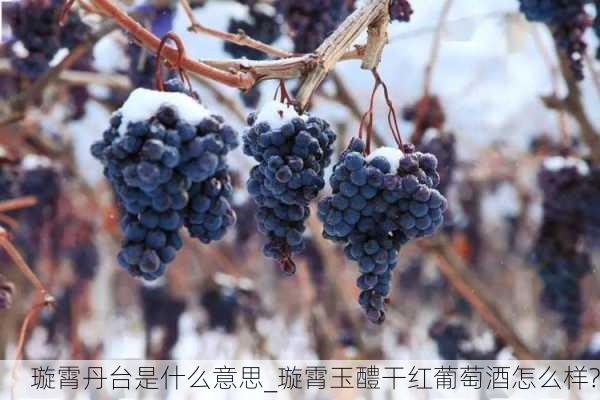 璇霄丹台是什么意思_璇霄玉醴干红葡萄酒怎么样?