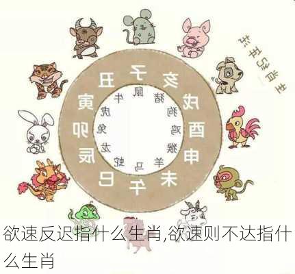 欲速反迟指什么生肖,欲速则不达指什么生肖