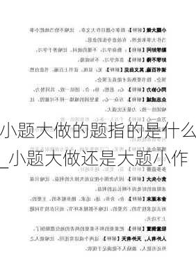 小题大做的题指的是什么_小题大做还是大题小作