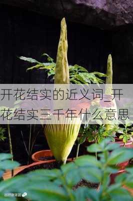 开花结实的近义词_开花结实三千年什么意思