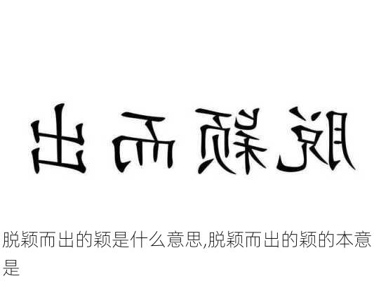 脱颖而出的颖是什么意思,脱颖而出的颖的本意是