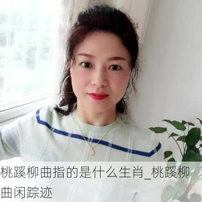 桃蹊柳曲指的是什么生肖_桃蹊柳曲闲踪迹