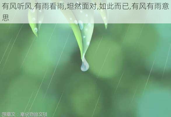 有风听风,有雨看雨,坦然面对,如此而已,有风有雨意思