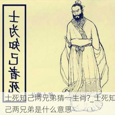 士死知己两兄弟猜一生肖?_士死知己两兄弟是什么意思