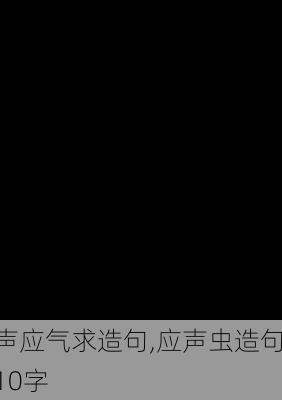 声应气求造句,应声虫造句10字