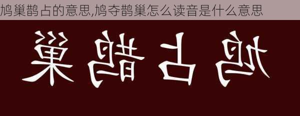 鸠巢鹊占的意思,鸠夺鹊巢怎么读音是什么意思