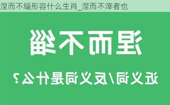 涅而不缁形容什么生肖_涅而不滓者也