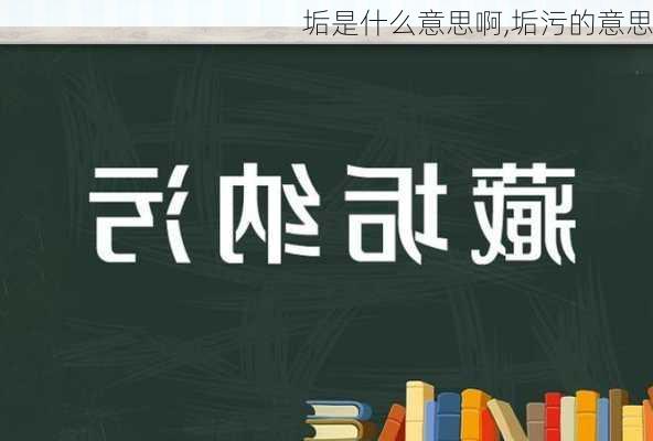 垢是什么意思啊,垢污的意思