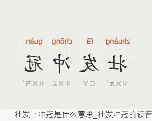 壮发上冲冠是什么意思_壮发冲冠的读音