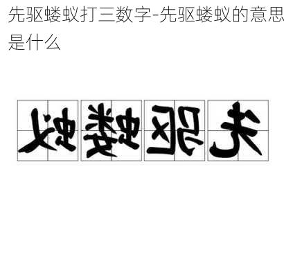 先驱蝼蚁打三数字-先驱蝼蚁的意思是什么