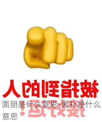 面朋是什么意思-面扑是什么意思