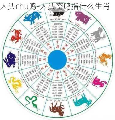 人头chu鸣-人头畜鸣指什么生肖